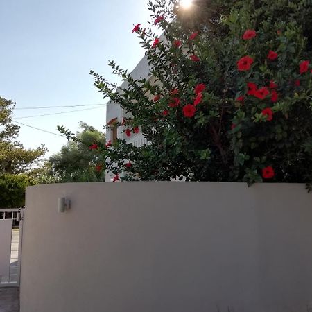 Dimitris' & Valentina'S Home بلاكاس المظهر الخارجي الصورة