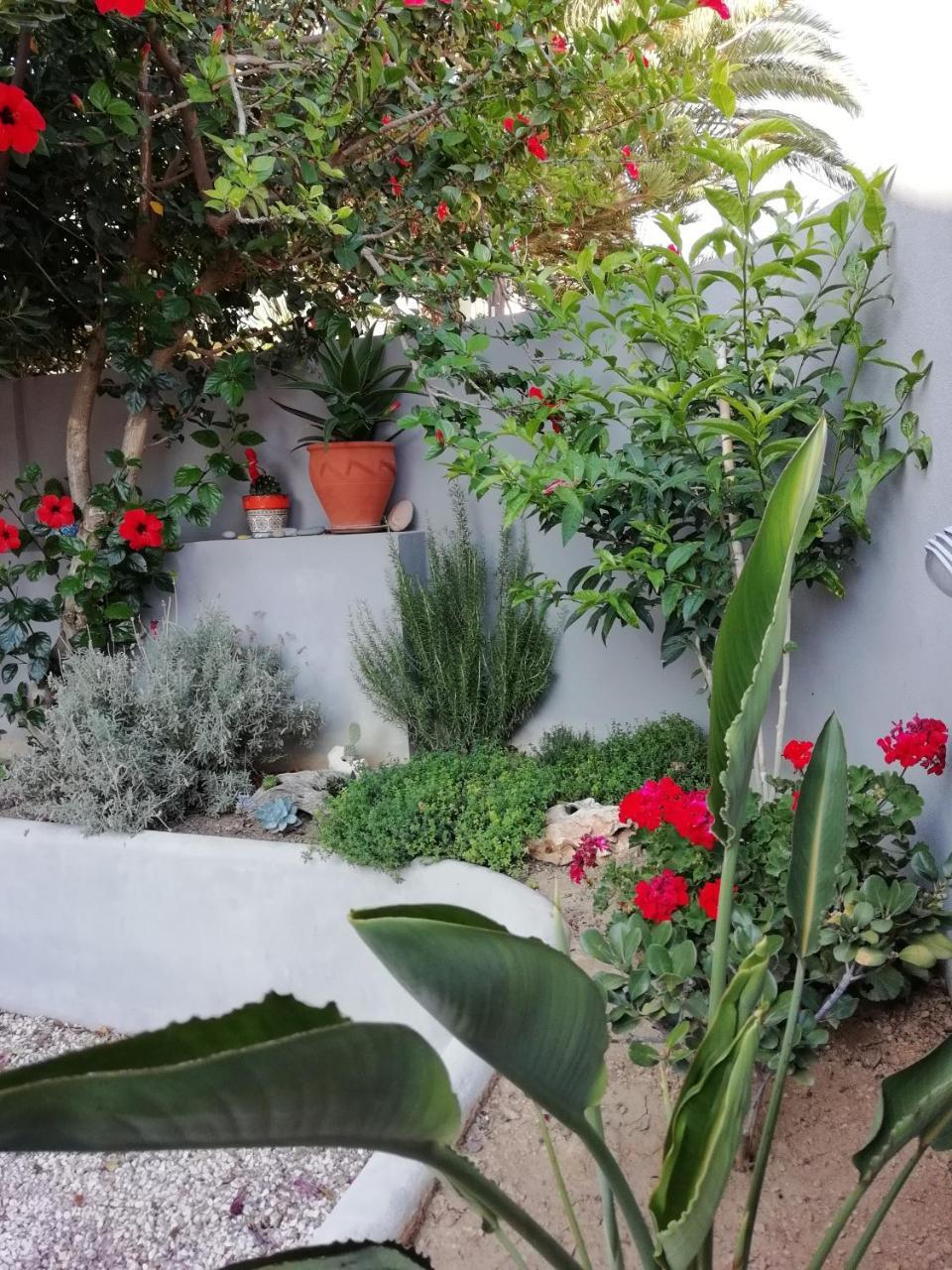 Dimitris' & Valentina'S Home بلاكاس المظهر الخارجي الصورة