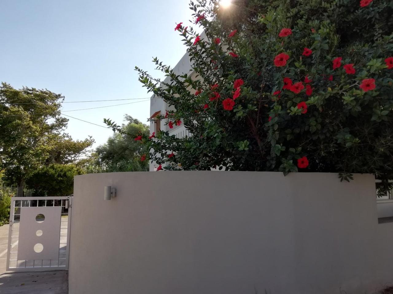 Dimitris' & Valentina'S Home بلاكاس المظهر الخارجي الصورة